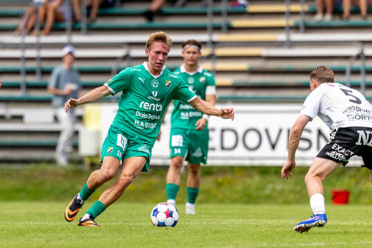 Ljungskiles Hugo Borstam