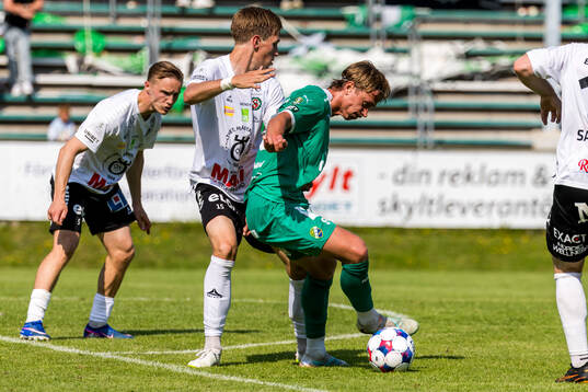 Ljungskiles David Frisk