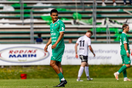 Ljungskiles Alex Rasheed
