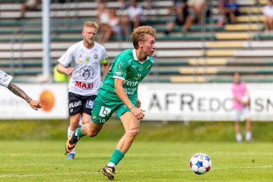 Ljungskiles Hugo Borstam