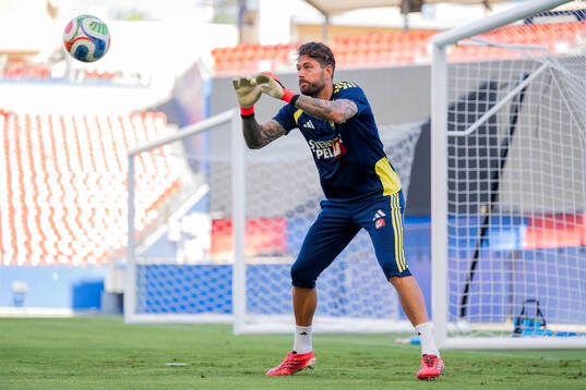 Goalkeeper Kristoffer Nordfeldt of the Swedish national