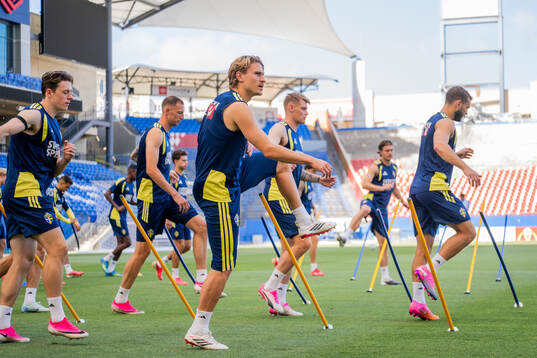 Elliot Stroud and Carl Starfelt of the Swedish national