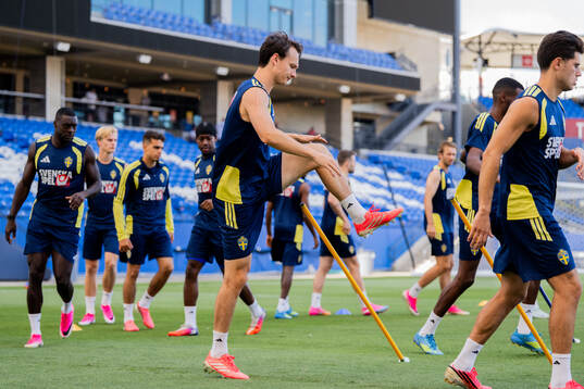 Hjalmar Ekdal of the Swedish national football team at a