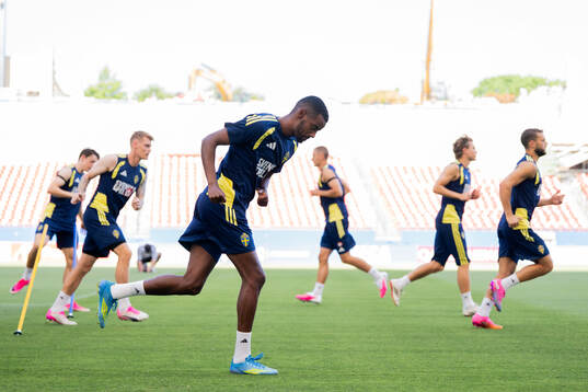 Alexander Isak of the Swedish national football team at a