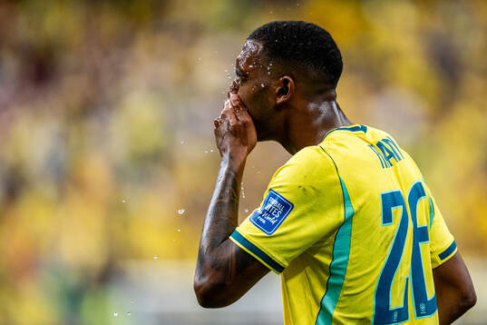 Rayan of Brazil