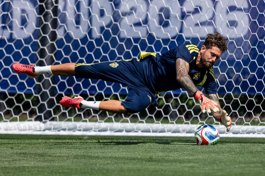 Goalkeeper Kristoffer Nordfeldt of the Swedish national