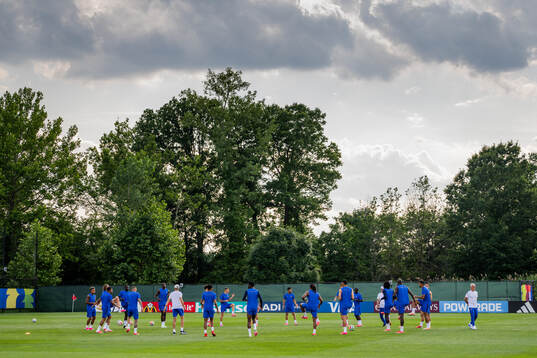 Players of the French national football team at a training