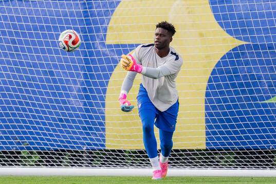 Goalkeeper Brice Samba of the French national football team