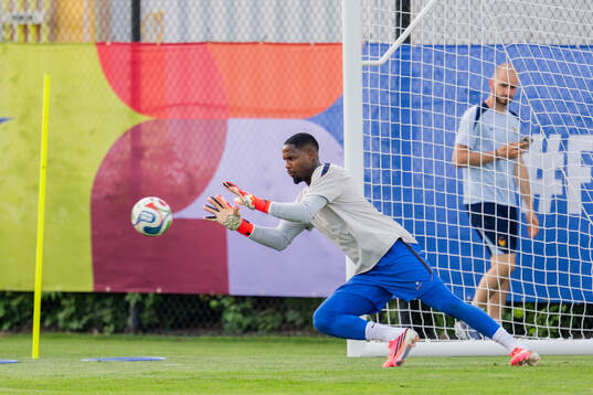 Goalkeeper Mike Maignan of the French national football