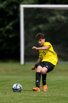 Ft2s Daniel Prorokovic, BK Häcken FF
