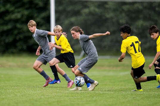 Ft1s Theo Netzell Rosendahl, Halmstads BK