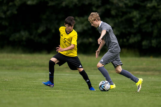 Ft2s Rafael Julius Ehrman, Djurgårdens IF FF och Ft1s