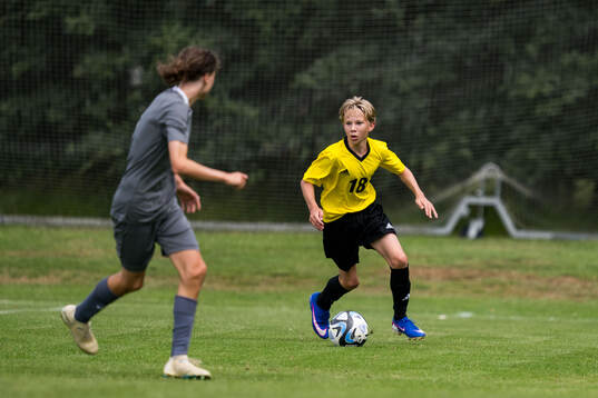 Ft2s Malte Eriksson, Helsingborgs IF
