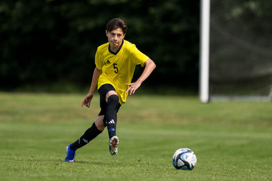 Ft2s Rafael Julius Ehrman, Djurgårdens IF FF