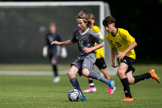 Ft1s Otto Zell, Helsingborgs IF