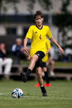 Ft2s Kristijan Petrovic, Hammarby IF FF