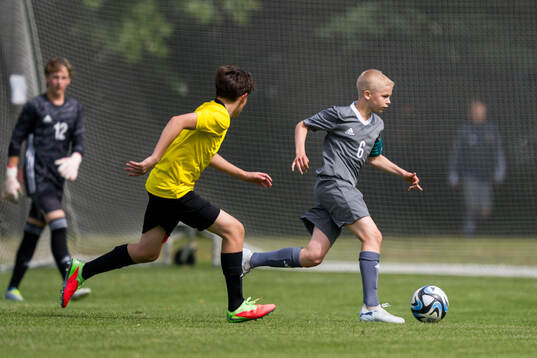 Ft1s Oscar Fredga Jutterström, Hammarby TFF