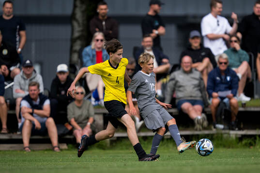 Ft2s Kristijan Petrovic, Hammarby IF FF och Ft1s Alvin