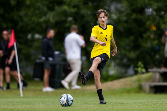 Ft2s Kristijan Petrovic, Hammarby IF FF
