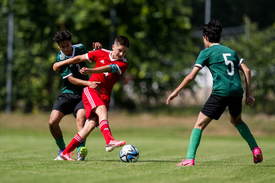 Lag4s Ali Al-Saaid, Hammarby IF FF och Lag3s Anton