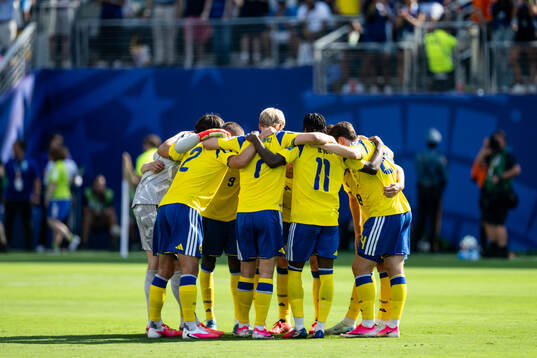 Players of Sweden gather