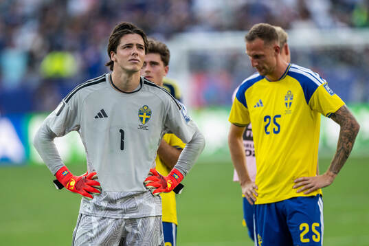Goalkeeper Jacob Widell Zetterström of Sweden looks