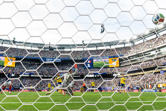 Goalkeeper Jacob Widell Zetterström of Sweden concedes 2-0