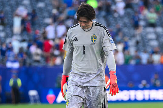 Goalkeeper Jacob Widell Zetterström of Sweden