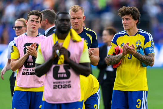 Goalkeeper Kristoffer Nordfeldt