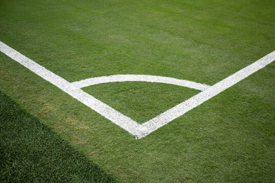 The pitch at New York New Jersey Arena