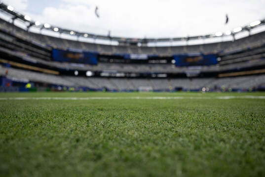The pitch at New York New Jersey Arena