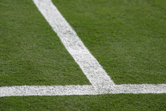 The pitch at New York New Jersey Arena