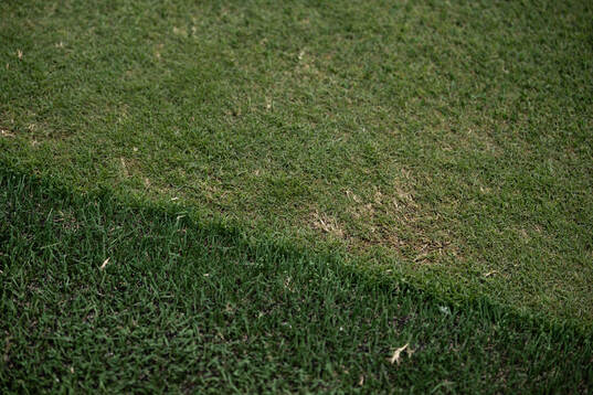 The pitch at New York New Jersey Arena
