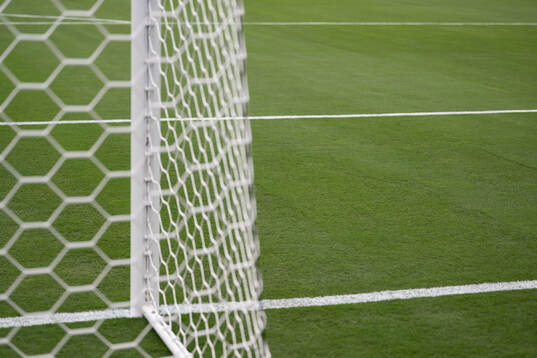 The pitch at New York New Jersey Arena