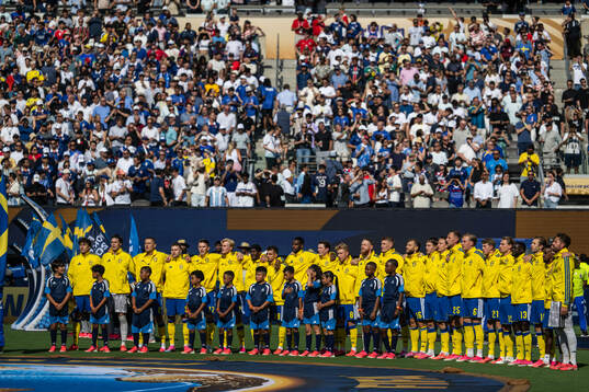 Players of Sweden