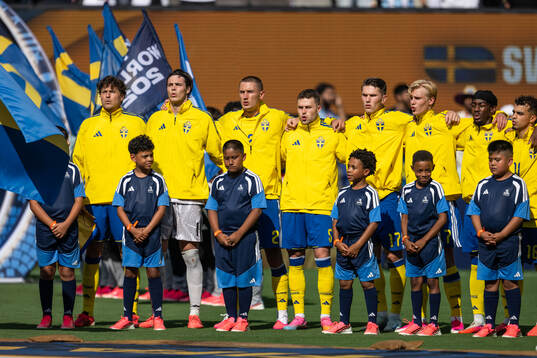 Players of Sweden