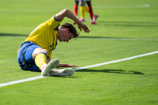 Elliot Stroud of Sweden looks dejected  the FIFA World Cup