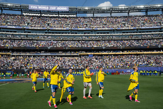 Players of Sweden