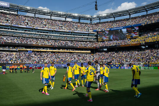 Players of Sweden
