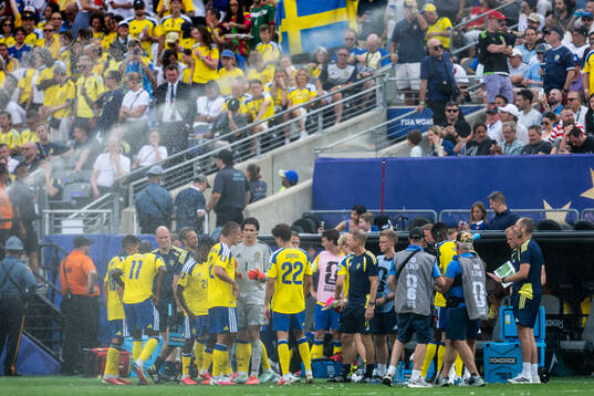 Players of Sweden