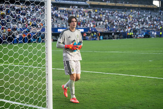 Goalkeeper Jacob Widell Zetterström of Sweden looks