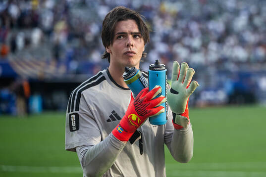 Goalkeeper Jacob Widell Zetterström of Sweden looks