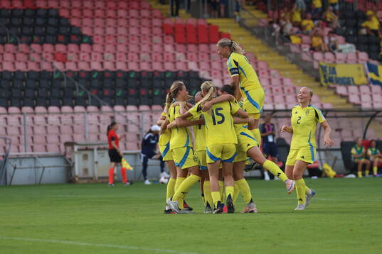 Players of Sweden celebrate