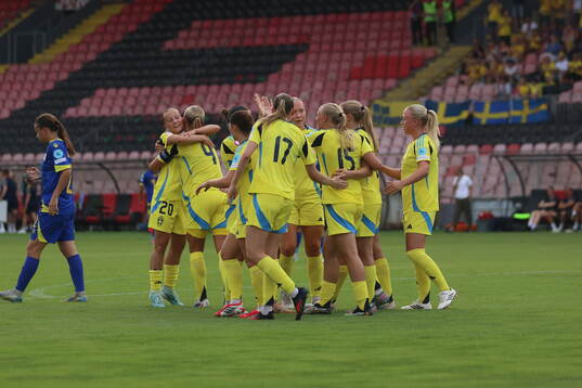 Players of Sweden celebrate the 0-2 goal