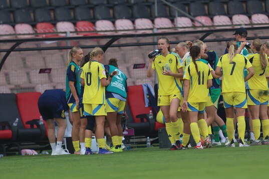 Players of Sweden