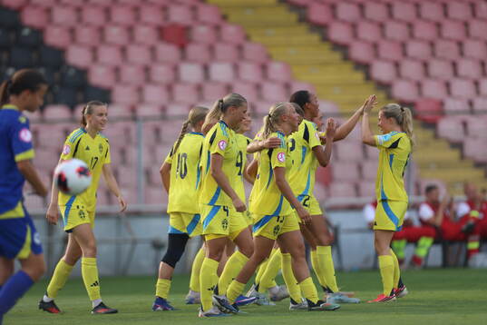 Players of Sweden celebrate