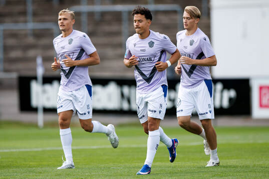 Halmstads Gustav Friberg, Hussein Carneil och Ludvig