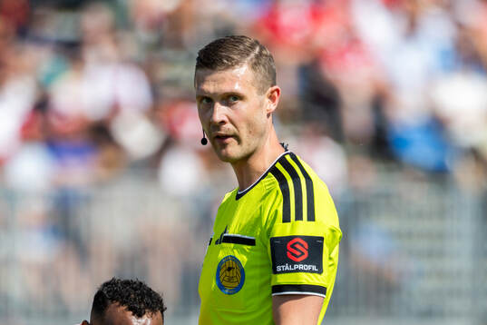 Domare Erik Mattsson
