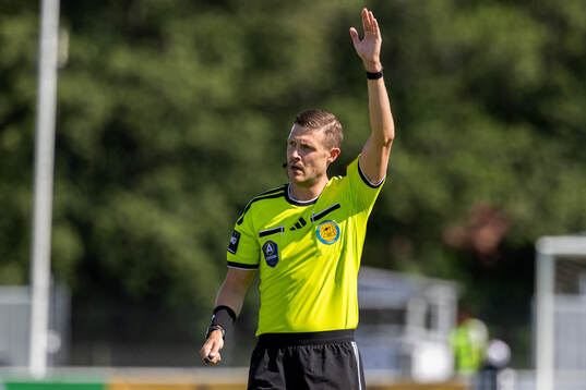Domare Erik Mattsson