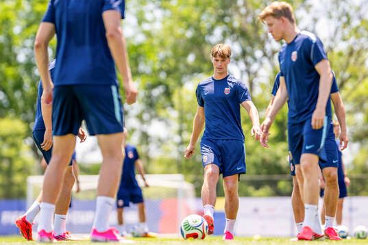 Henrik Falchener of the Norwegian national football team at